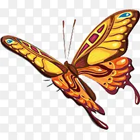 彩色蝴蝶唯美素材-空若网 彩色蝴蝶唯美素材-空若网