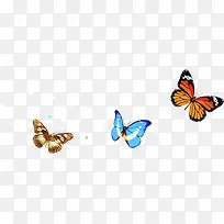 手绘卡通彩色蝴蝶-空若网 手绘卡通彩色蝴蝶-空若网