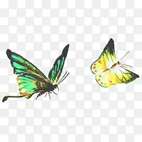 中秋节彩色手绘蝴蝶-空若网 中秋节彩色手绘蝴蝶-空若网