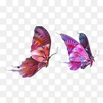 彩色蝴蝶漂亮蝴蝶-空若网 彩色蝴蝶漂亮蝴蝶-空若网