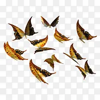 ������ɫ����-������