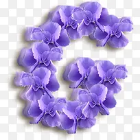 紫色的花-空若网 紫色的花-空若网