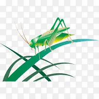 矢量蝈蝈卡通素材-空若网 矢量蝈蝈卡通素材-空若网