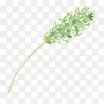 手绘小草-空若网 手绘小草-空若网