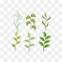 花朵小草手绘矢量图植物-空若网 花朵小草手绘矢量图植物-空若网