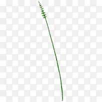 �ֻ�С��-������