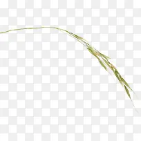 ����-������