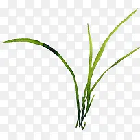 水彩小草-空若网 水彩小草-空若网