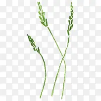 手绘小草-空若网 手绘小草-空若网