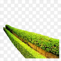 ����-������