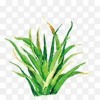 ��ɫС��-������