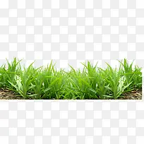 С²Ý-¿ÕÈôÍø С²Ý-¿ÕÈôÍø