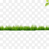 小草-空若网 小草-空若网