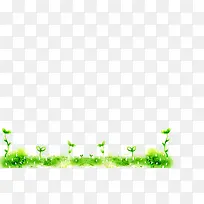 小草专辑-空若网 小草专辑-空若网