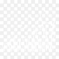 °×ɫС²Ý-¿ÕÈôÍø °×ɫС²Ý-¿ÕÈôÍø