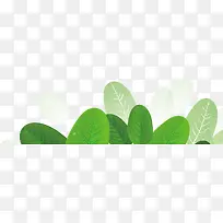 ÂÌɫװÊÎС²Ý-¿ÕÈôÍø ÂÌɫװÊÎС²Ý-¿ÕÈôÍø