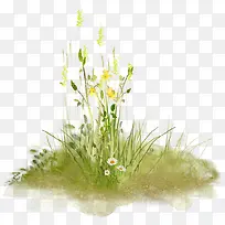 小草叶子背景装饰-空若网 小草叶子背景装饰-空若网