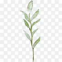 手绘小草-空若网 手绘小草-空若网