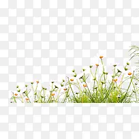 �ݻ�-������