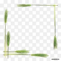 小草边框-空若网 小草边框-空若网