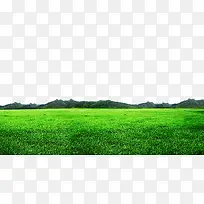 ÂÌÉ«²ÝµØ-¿ÕÈôÍø ÂÌÉ«²ÝµØ-¿ÕÈôÍø