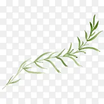 �ֻ�Ҷ��-������