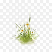 小草-空若网 小草-空若网