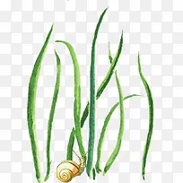 С��-������