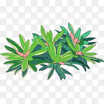 小草小花-空若网 小草小花-空若网