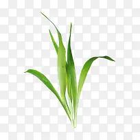 Â̲Ý-¿ÕÈôÍø Â̲Ý-¿ÕÈôÍø