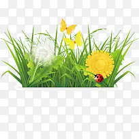 С��-������