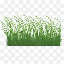 С��-������