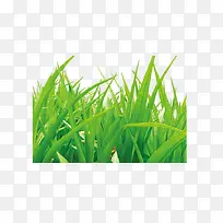 С��-������