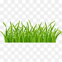 绿色小草-空若网 绿色小草-空若网