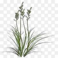 ÂÌɫС²Ýͼ±êÏÂÔØ-¿ÕÈôÍø ÂÌɫС²Ýͼ±êÏÂÔØ-¿ÕÈôÍø