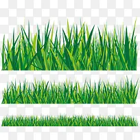 小草背景-空若网 小草背景-空若网