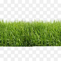 С��-������