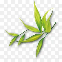 草-空若网 草-空若网