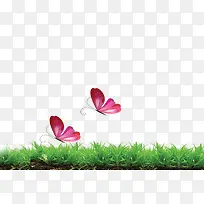 小花 小草-空若网 小花 小草-空若网