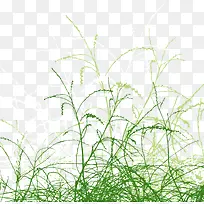 ����ҡҷ��С��-������