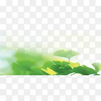 小草-空若网 小草-空若网