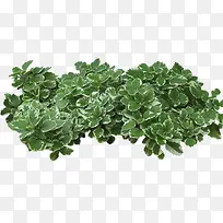 草地上的小草-空若网 草地上的小草-空若网