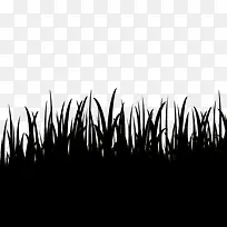 С��-������