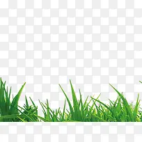 С²Ý-¿ÕÈôÍø С²Ý-¿ÕÈôÍø