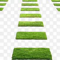 草坪-空若网 草坪-空若网