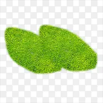 植物-空若网 植物-空若网