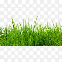 ��ɫС��-������