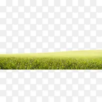 草-空若网 草-空若网