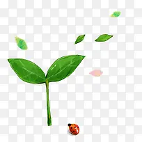 小草图案-空若网 小草图案-空若网