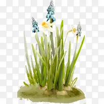 ¿¨Í¨»¨ËëС²Ý×°ÊÎ-¿ÕÈôÍø ¿¨Í¨»¨ËëС²Ý×°ÊÎ-¿ÕÈôÍø